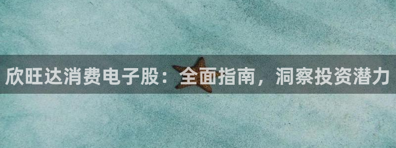 k8凯发版官网|欣旺达消费电子股:全面指南,洞察投资潜力