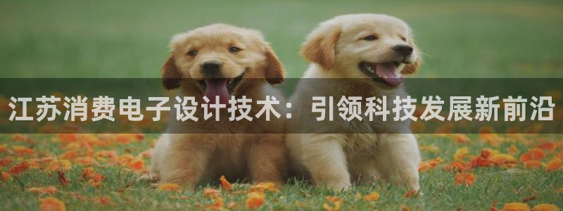 凯发k8唯一官方|江苏消费电子设计技术:引领科技发展新前沿