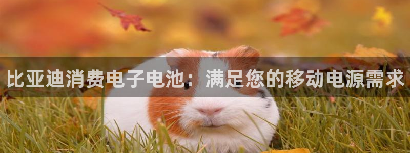 凯发k8国际首页登录|比亚迪消费电子电池:满足您的移动电源需求