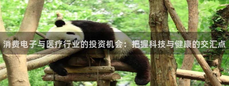 凯发k8555|消费电子与医疗行业的投资机会:把握科技与健康的交汇点